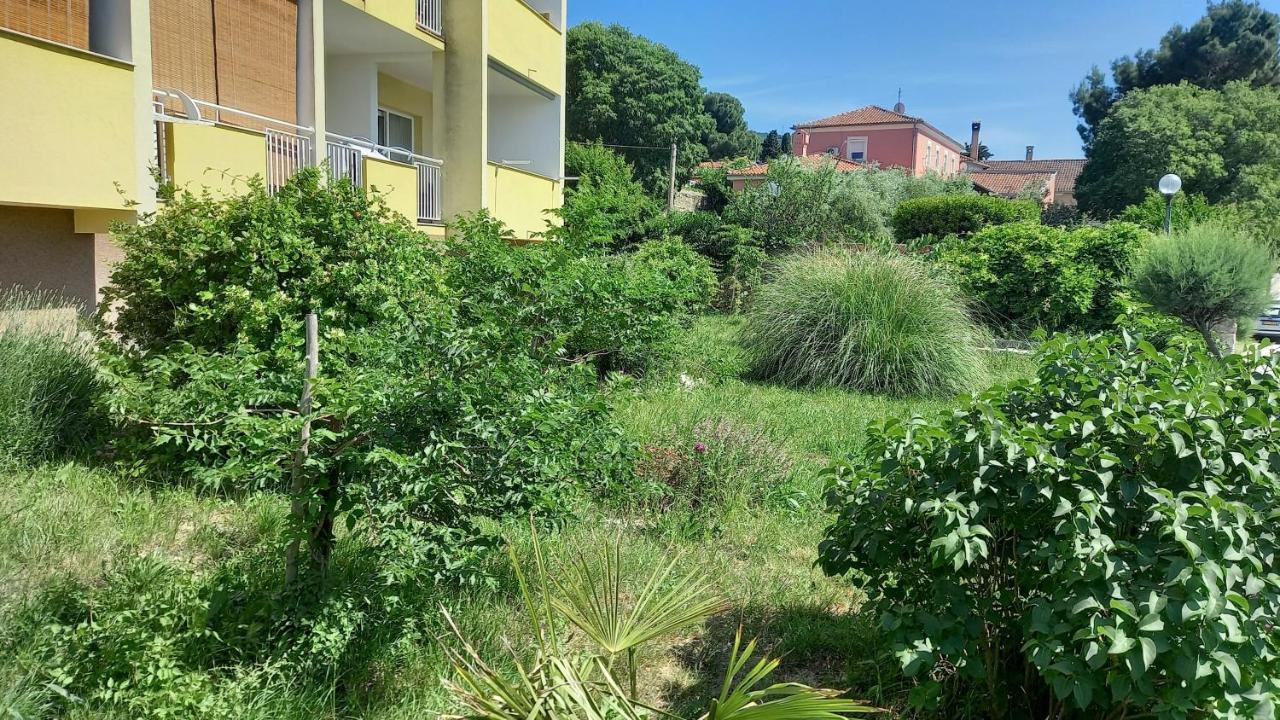 Apartment Sara - Cres Zewnętrze zdjęcie